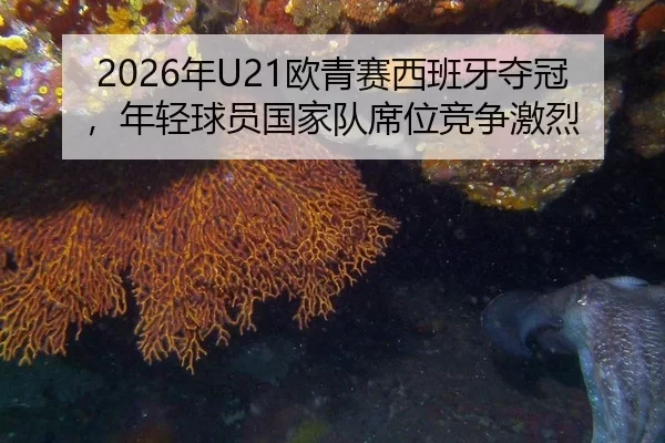 2026年U21欧青赛西班牙夺冠，年轻球员国家队席位竞争激烈