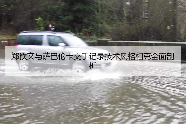 郑钦文与萨巴伦卡交手记录技术风格相克全面剖析